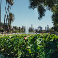 The Digital Evolution of Memorial Parks in Los Angeles County, CA
